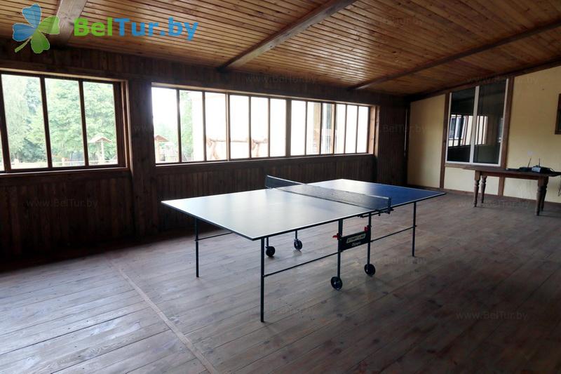 Rest in Belarus - recreation center Berezovyj dvor - Table tennis (Ping-pong)