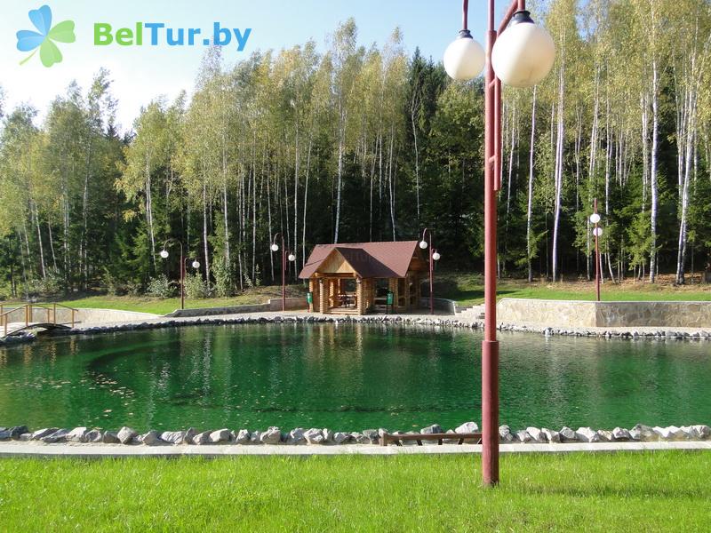Отдых в Белоруссии Беларуси - туристический комплекс Сосновая - Территория и природа