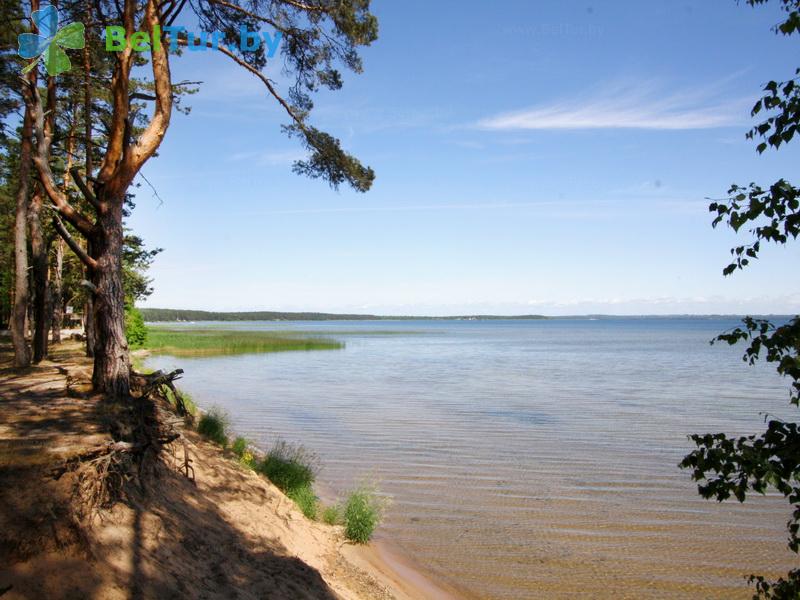 Rest in Belarus - guest house Antonisberg - Fishing and Hunting