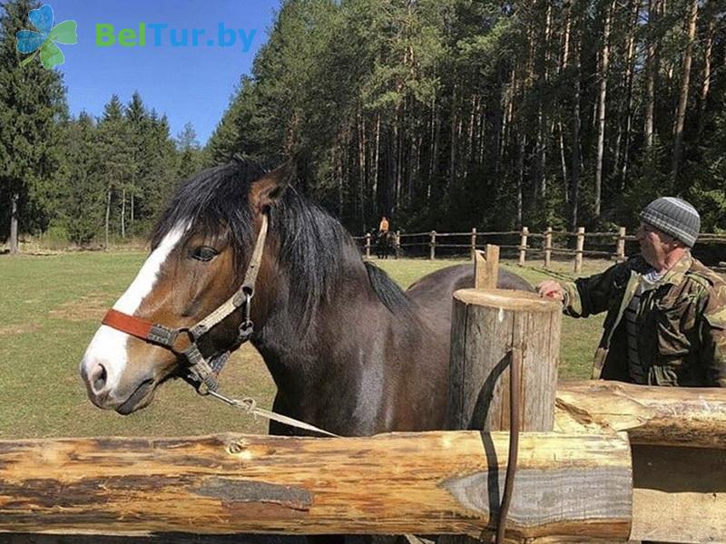 Rest in Belarus - farmstead Medvezhiya zavala - Aviary