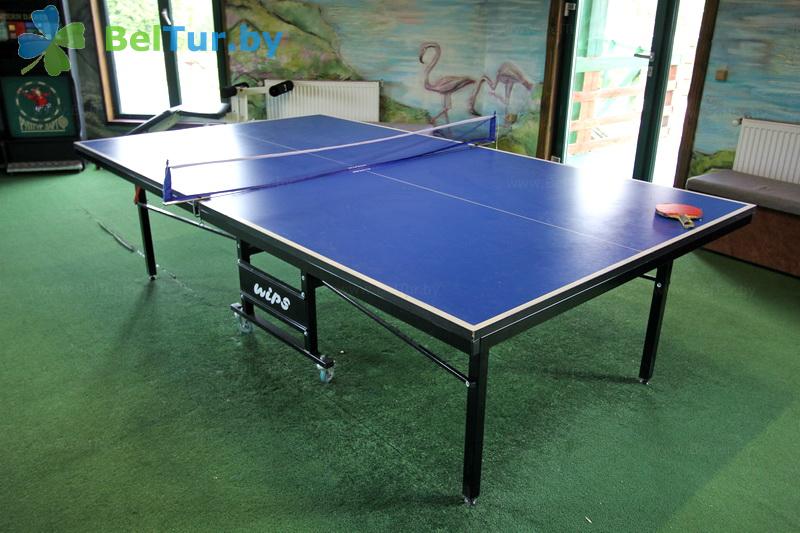 Rest in Belarus - farmstead Medvezhiya zavala - Table tennis (Ping-pong)