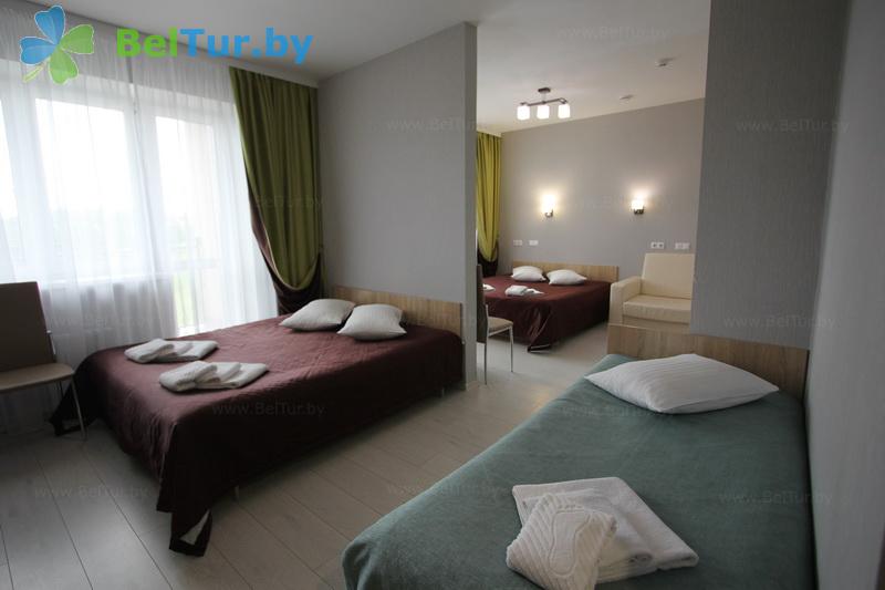 Rest in Belarus - hotel complex Myadel - 2-room double family (main building) 