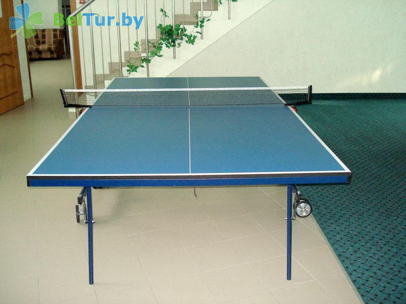 Rest in Belarus - health-improving complex Sputnik Jdanovichi - Table tennis (Ping-pong)