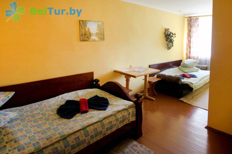 Rest in Belarus - hotel complex Guest Yard - double 1-room (4 category) (building 1) 