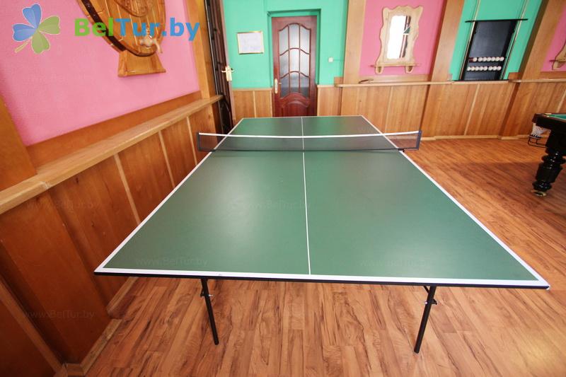 Rest in Belarus - hotel complex Guest Yard - Table tennis (Ping-pong)