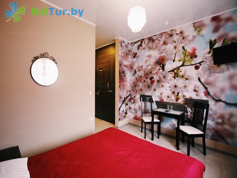 Rest in Belarus - hotel complex Svetlana - 1-room double / double (main building) 