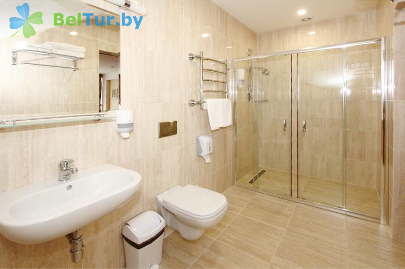 Rest in Belarus - hotel Drozdy club - double 1-room superior / double (building 1) 