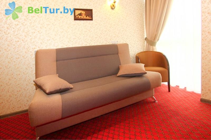 Rest in Belarus - hotel Drozdy club - 1-room single (main building) 