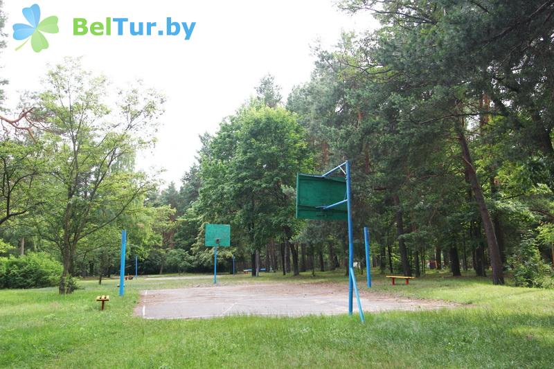 Rest in Belarus - recreation center Beloe ozero - Sportsground