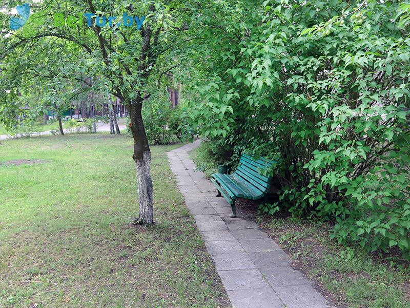 Rest in Belarus - recreation center Beloe ozero - Territory
