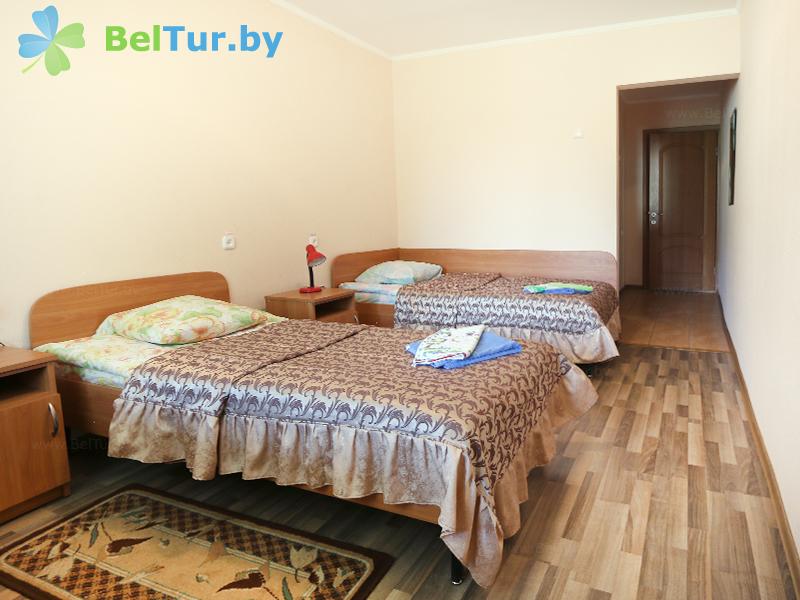 Rest in Belarus - recreation center Beloe ozero - 1-room twin comfort+/dbl comfort (living building 2) 