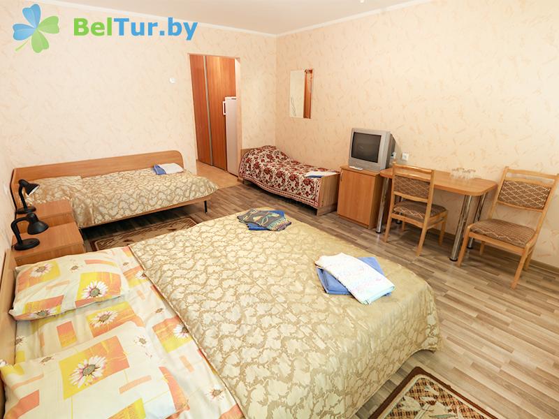 Rest in Belarus - recreation center Beloe ozero - 1-room for 4 people A (living building 2) 