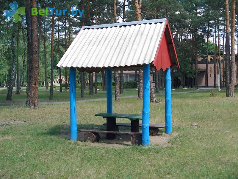 Rest in Belarus - recreation center Beloe ozero - Arbour