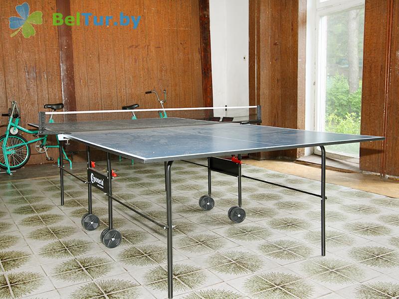 Rest in Belarus - recreation center Beloe ozero - Table tennis (Ping-pong)