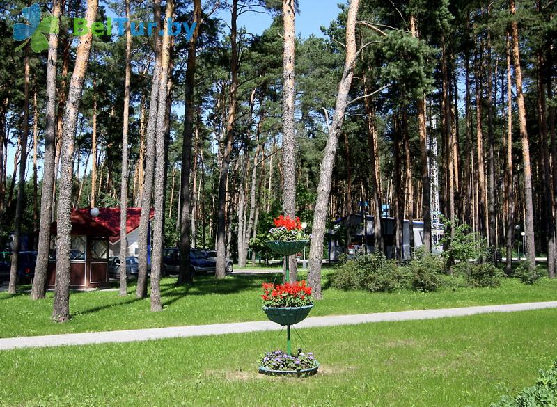 Отдых в Белоруссии Беларуси - база отдыха Дривяты - Территория и природа