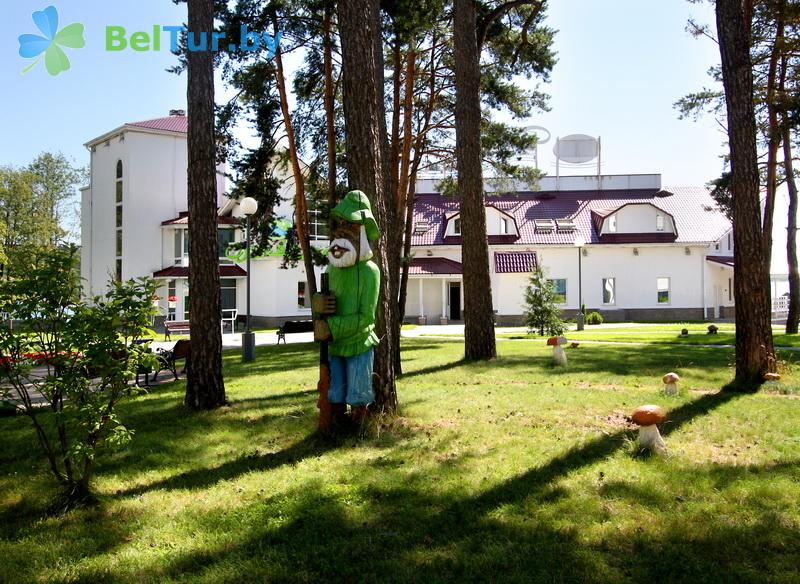 Rest in Belarus - recreation center Drivyati - Territory