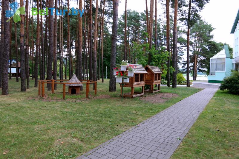 Rest in Belarus - recreation center Drivyati - Territory