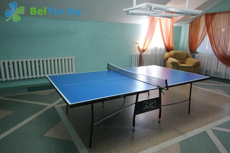 Rest in Belarus - recreation center Drivyati - Table tennis (Ping-pong)