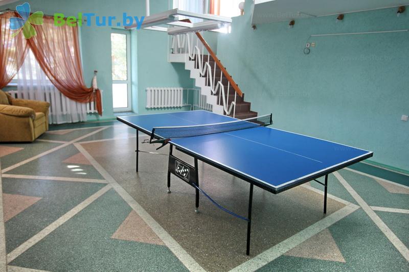 Rest in Belarus - recreation center Drivyati - Table tennis (Ping-pong)