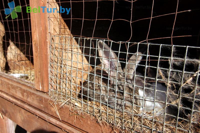 Rest in Belarus - recreation center Drivyati - Aviary