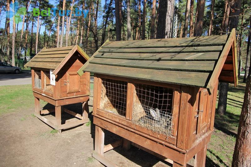 Rest in Belarus - recreation center Drivyati - Aviary