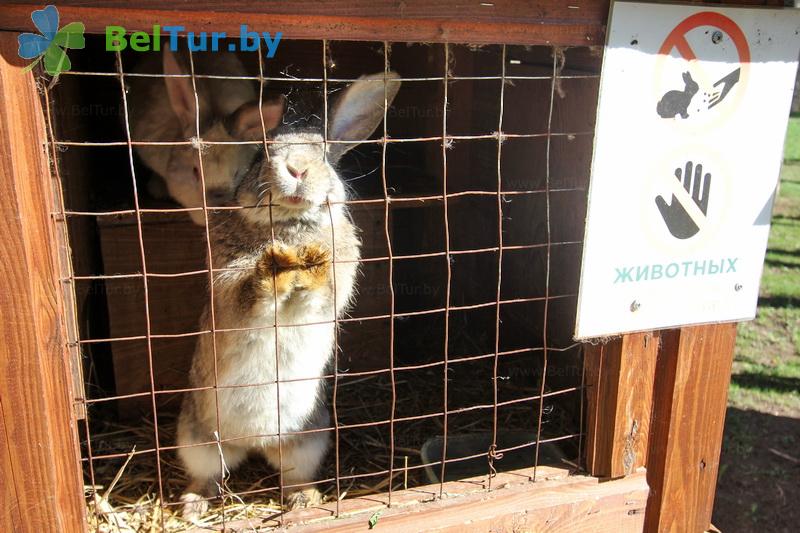 Rest in Belarus - recreation center Drivyati - Aviary