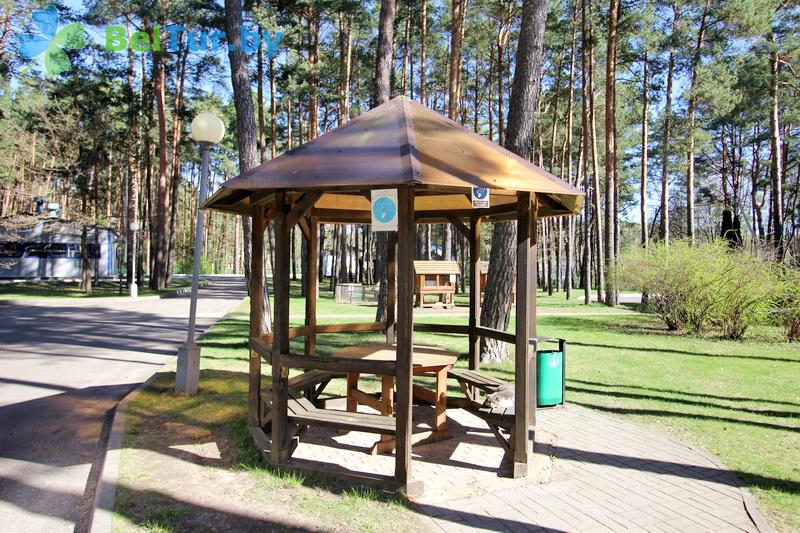 Rest in Belarus - recreation center Drivyati - Arbour