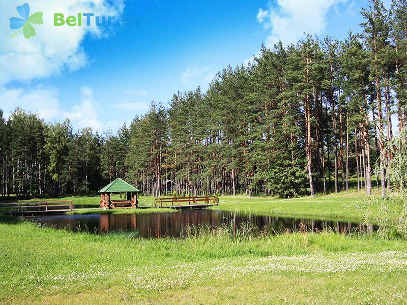 Rest in Belarus - recreation center Leoshki - Territory