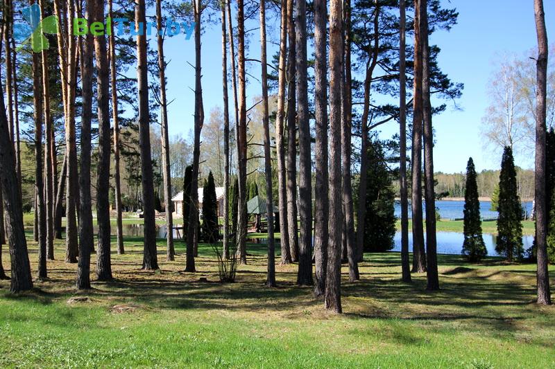 Rest in Belarus - recreation center Leoshki - Territory