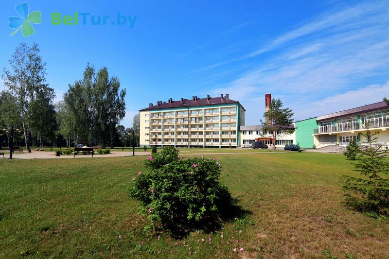 Rest in Belarus - tourist complex Losvido - Territory