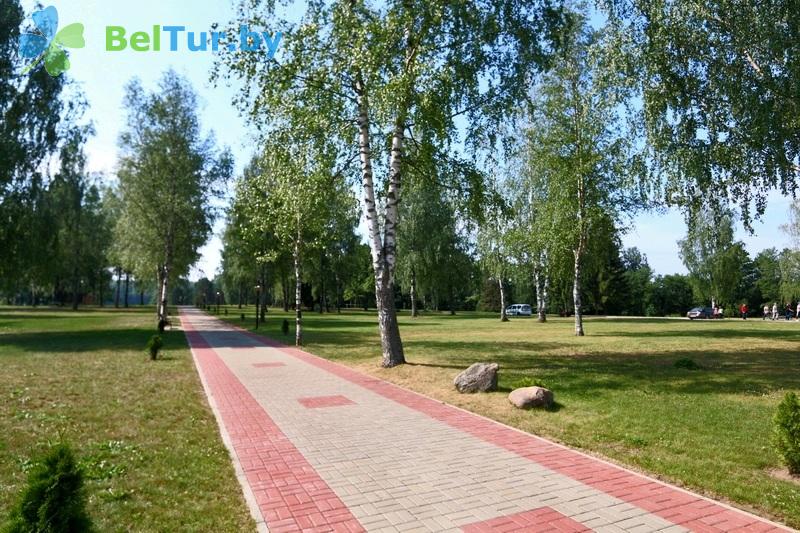 Rest in Belarus - tourist complex Losvido - Territory