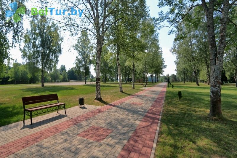 Rest in Belarus - tourist complex Losvido - Territory