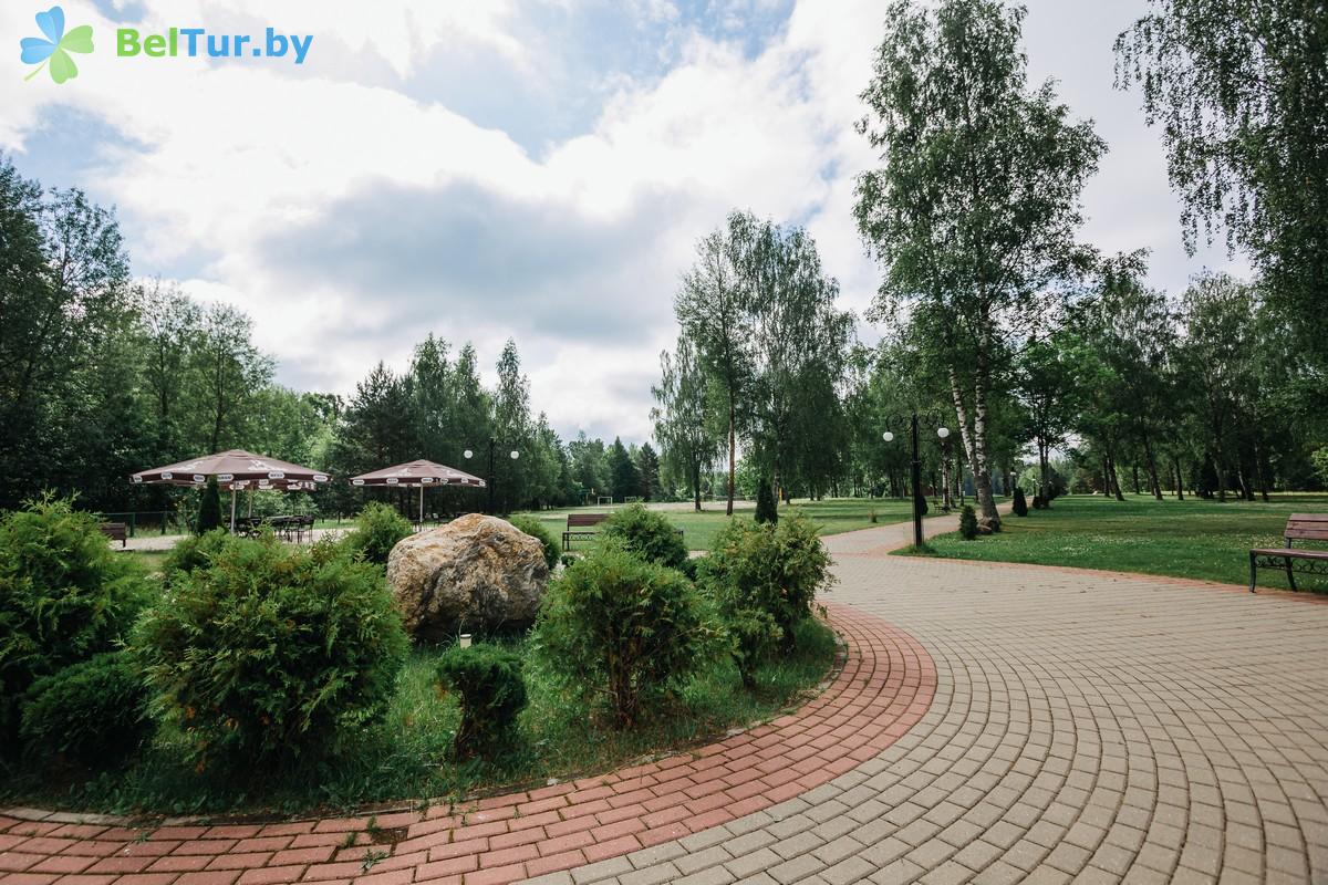 Rest in Belarus - tourist complex Losvido - Territory