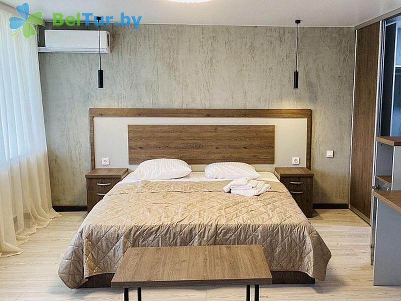 Rest in Belarus - tourist complex Losvido - 1-room double / studio (main building) 