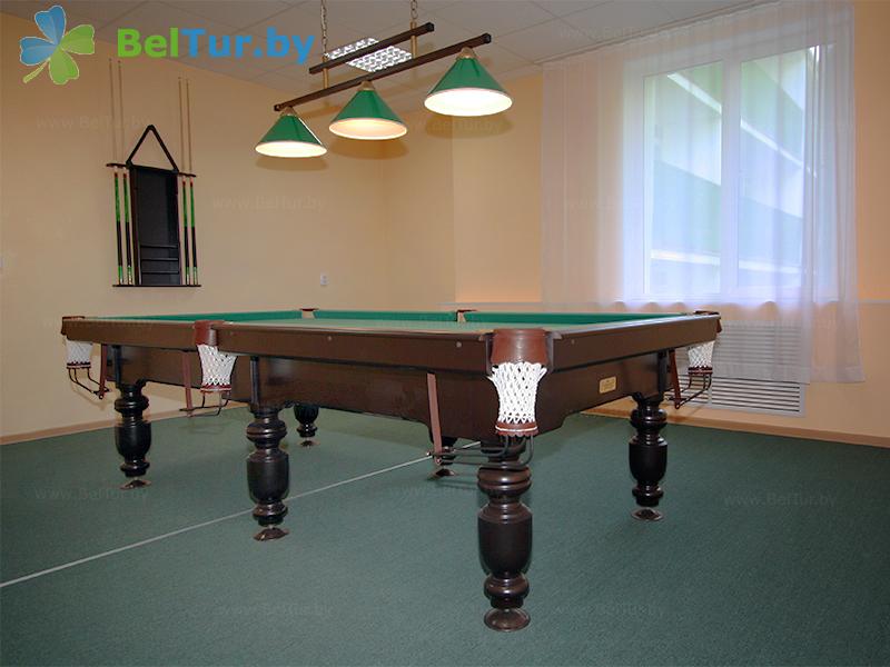 Rest in Belarus - tourist complex Orsha - Billiards