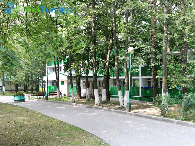 Rest in Belarus - tourist complex Orsha - Territory