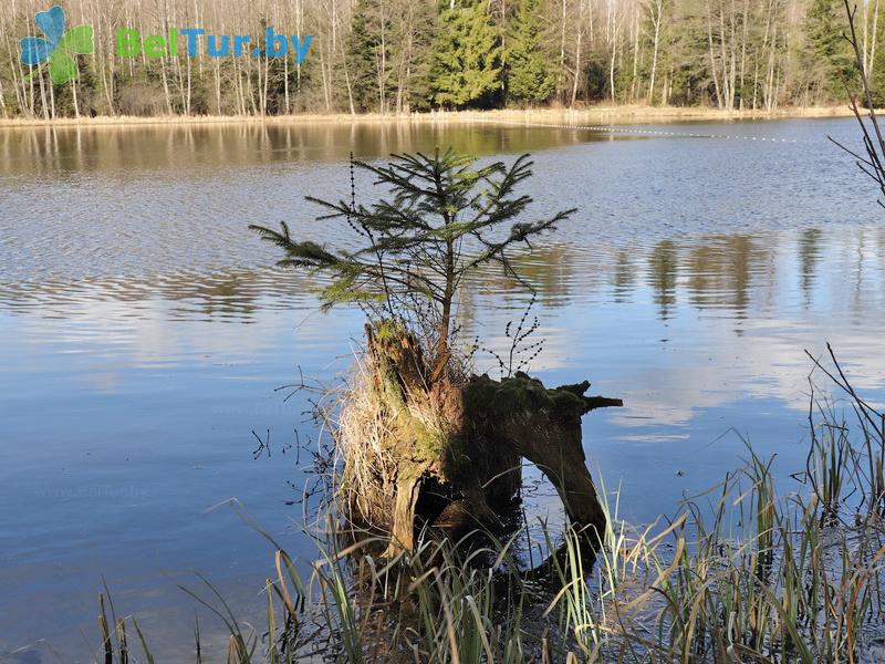 Rest in Belarus - tourist complex Hatki - Fishing