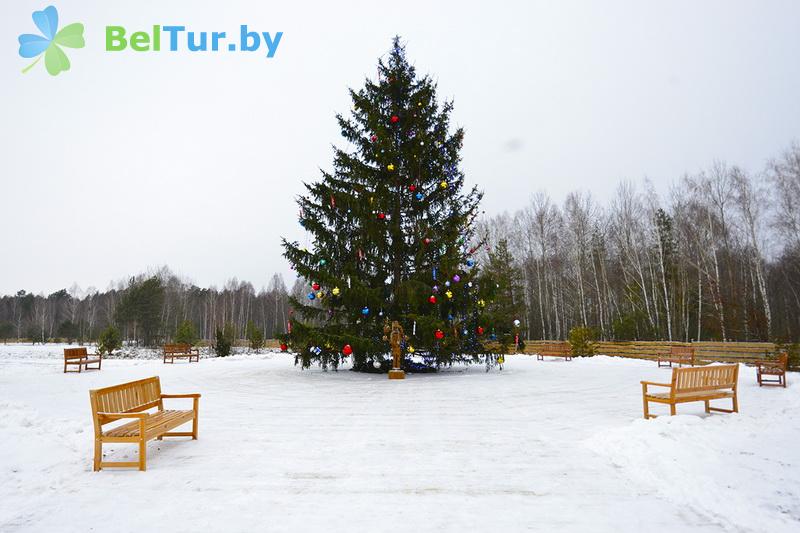 Rest in Belarus - tourist complex Doroshevichi - Estate of Santa Claus