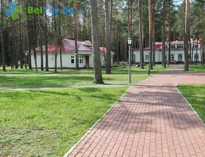 Rest in Belarus - hotel complex Ogonek Volma - Territory