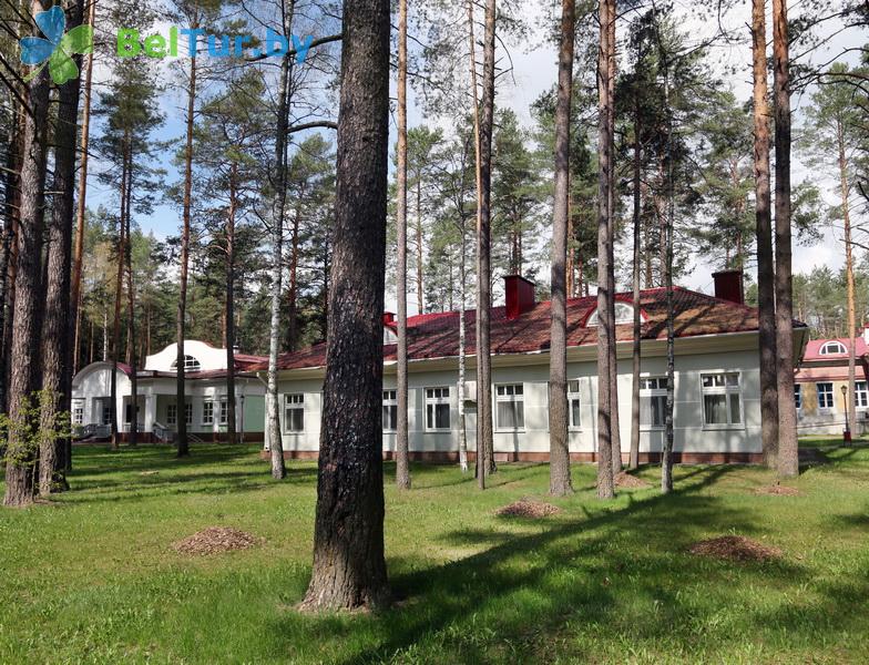 Rest in Belarus - hotel complex Ogonek Volma - Territory