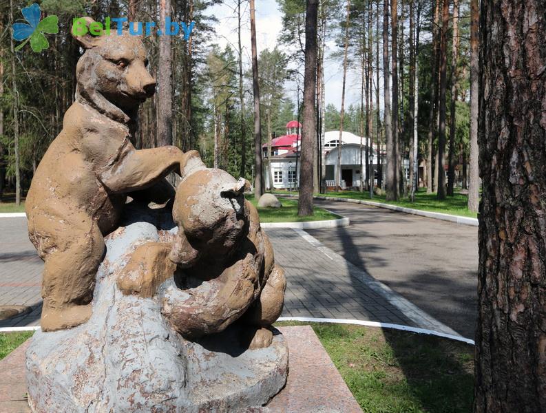 Rest in Belarus - hotel complex Ogonek Volma - Territory