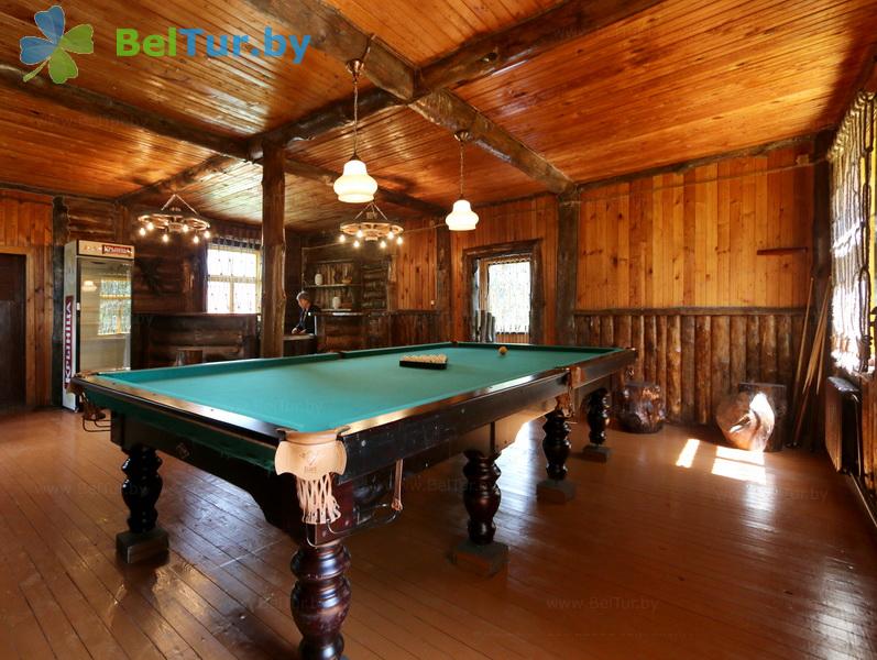 Rest in Belarus - hunter's house Vygonovsky - Billiards