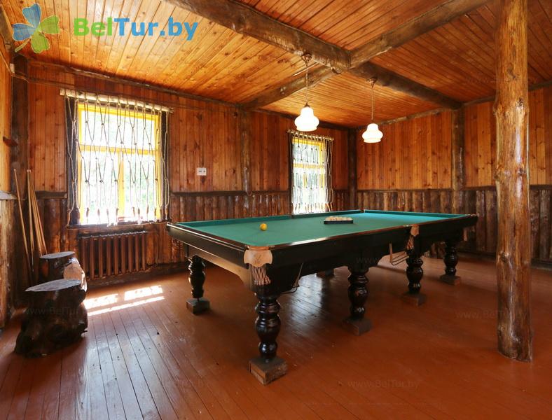 Rest in Belarus - hunter's house Vygonovsky - Billiards