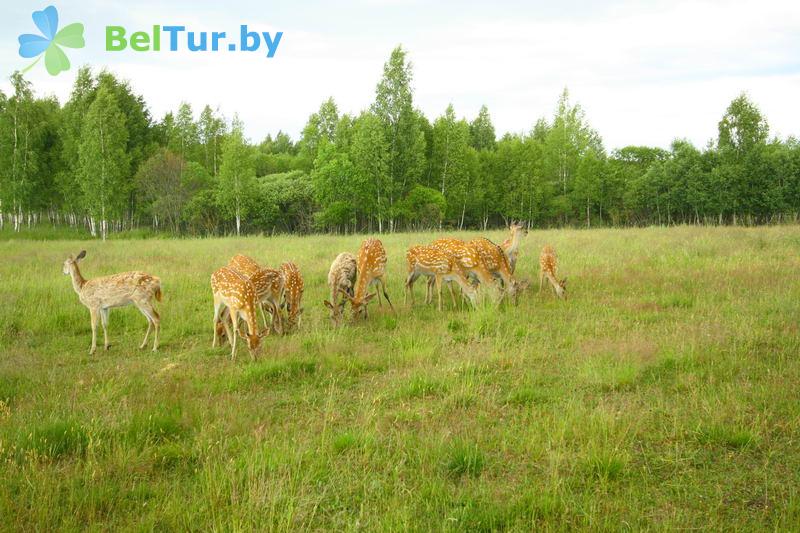 Rest in Belarus - hunter's house Kazyuki - Fishing and Hunting