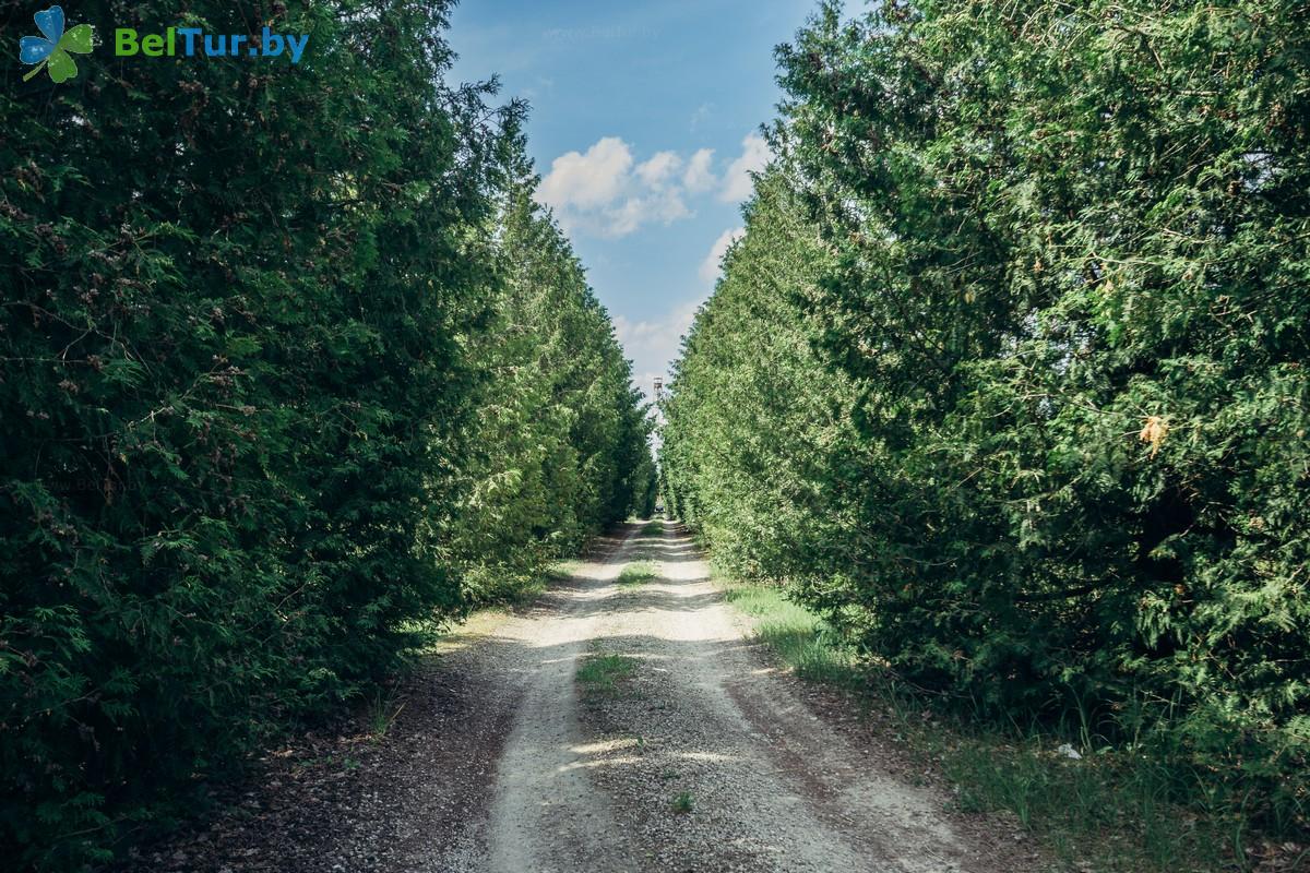 Rest in Belarus - hunter's house Orshansky - Territory