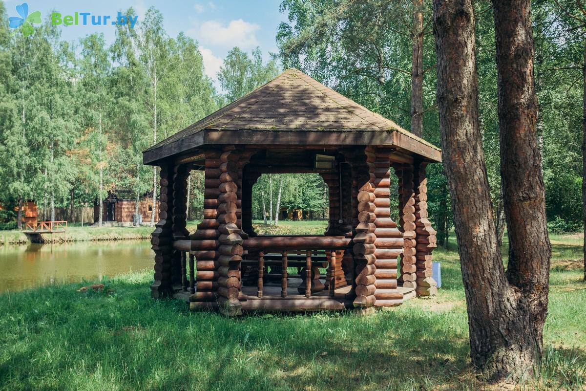 Rest in Belarus - hunter's house Orshansky - Barbeque