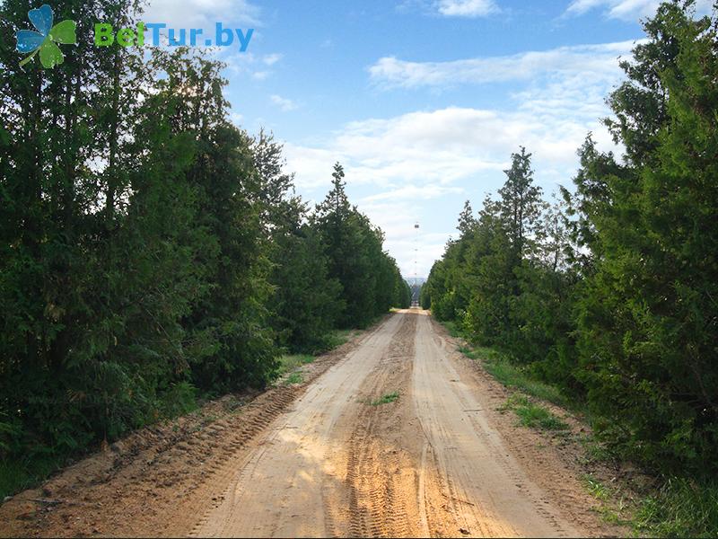 Rest in Belarus - hunter's house Orshansky - Territory