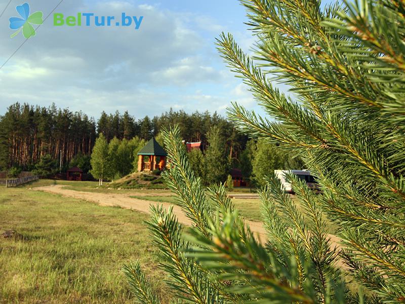 Rest in Belarus - hunter's house Orshansky - Territory