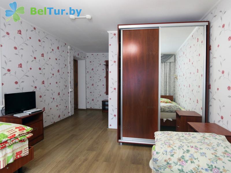 Rest in Belarus - hunter's house Krupski - 1-room double (hunter's house) 