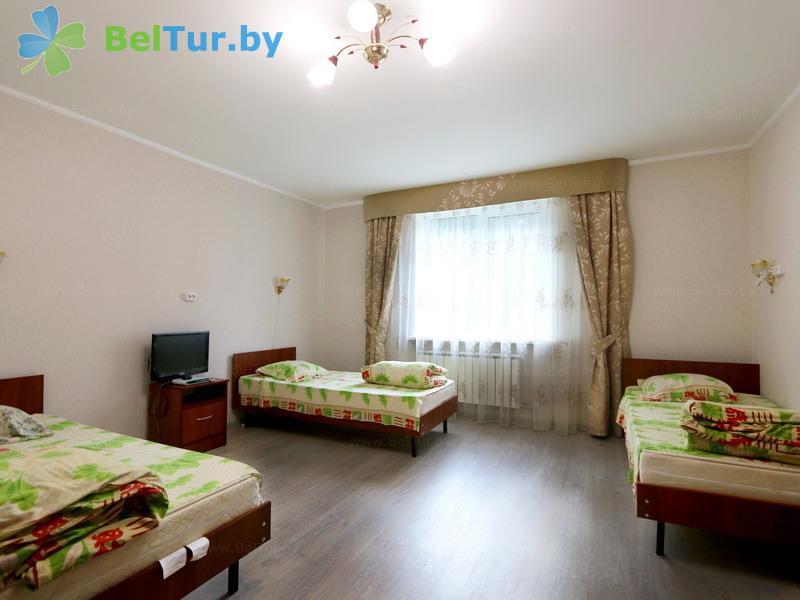 Rest in Belarus - hunter's house Krupski - 1-room triple (hunter's house) 